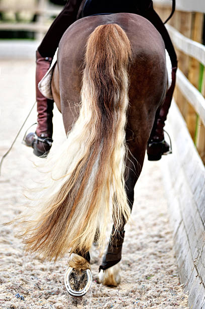 DLF No Knots Mane & Tail Conditioner - Habitat Cleaning Supplies Co