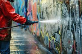 Pressure Washer