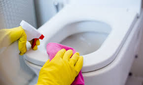 toilet seat cleaning