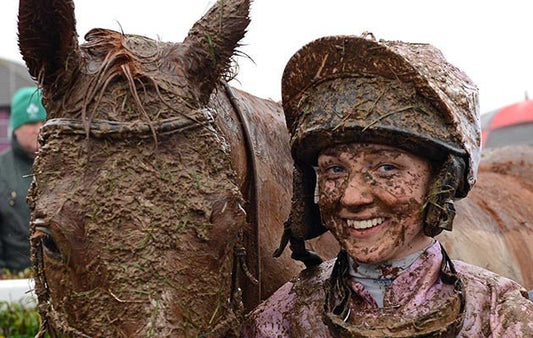 5 Equine Essentials For Riders - Habitat Cleaning Supplies Co