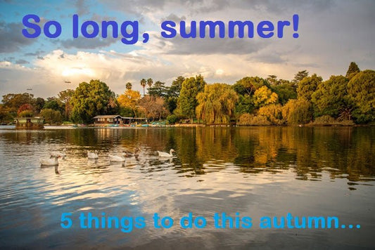 Joburg In Autumn: Squeeze The Last Of Your Summer! - Habitat Cleaning Supplies Co