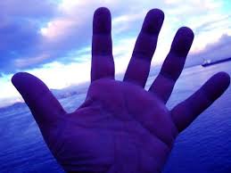 Remove Gentian Violet by following these steps: - Habitat Cleaning Supplies Co
