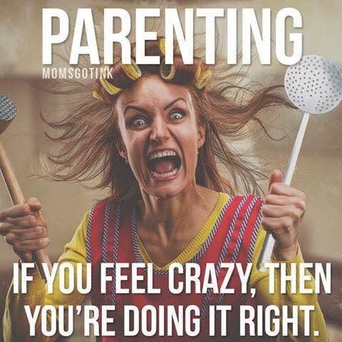 School Morning Madness - How To Curb It - Habitat Cleaning Supplies Co