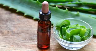 Aloe Vera Concentrate