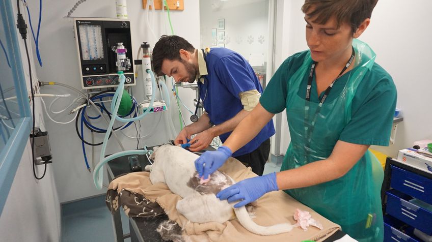 G-Tech Hospital Scrub
