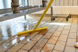 Z-Cide D Organic Chlorine - Cleaning Hub Centurion. Factory shop