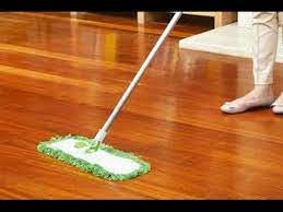 Laminated & Parquet Floor Cleaner